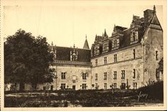 CPA Amboise Chateau Aile Louis XII