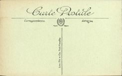 CPA Chaumont Sur Loire Interieur du Chateau Portrait de Catherine de Medicis