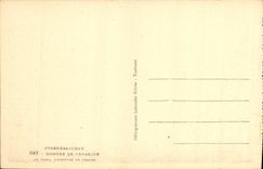 VINTAGE POSTCARD Gone up De Venasque