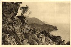 CPA Les Iles D Hyeres Porquerolles Vue sur la Pointe de L Oustaou
