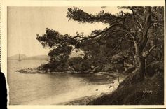 CPA Les Iles D Hyeres Porquerolles La Plage d Argent