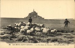 CPA Le Mont Saint Michel Les Pres Sales des Greves Berger Moutons 