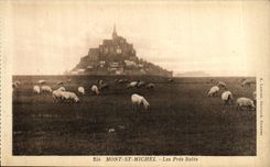 CPA Mont St Michel Les Pres Sales Moutons