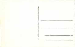 VINTAGE POSTCARD Bagneres de Bigorre Entered of the Thermal Park of Hello