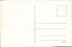 VINTAGE POSTCARD Bad Kreuznach Roseninsel Neue Which