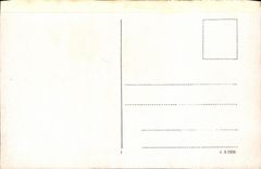 VINTAGE POSTCARD Rheingrafenstein