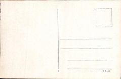 VINTAGE POSTCARD Ruin Wildstein B Treis