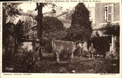 Fuente Petrifying de Clermont Ferrand de la POSTAL de la VENDIMIA de las cuevas de Perú de St Alyre