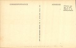 VINTAGE POSTCARD Lyon Places Republic and Street of President Carnot