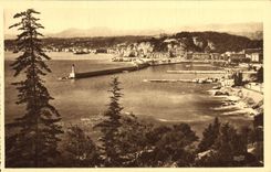 Opinion panoramica de la POSTAL de la VENDIMIA Niza puesto que el montaje del boro