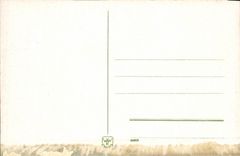 VINTAGE POSTCARD Mainz the Bridge of L Emperor