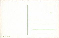 VINTAGE POSTCARD Burg Rhenstein