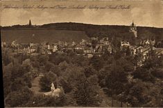 VINTAGE POSTCARD Wiesbaden Garden of the Valley of Neron With Monument of the warriors mountain of Neron and Greek vault