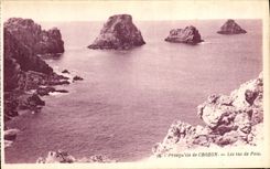 VINTAGE POSTCARD Crozon Pea heaps