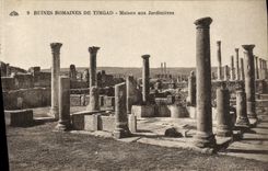 CPA Ruines Romaines De Timgad Maison aux Jardinieres
