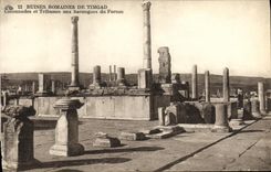 CPA Ruines Romaines De Timgad Colonnades et Tribunes aux Harengues du Forum