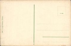 El nIsola Bella de Lago Maggiore de la POSTAL de la VENDIMIA aislo veteado