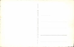 CPM Chateau de Chillon Chevallers Armolries de Balillis Bernois