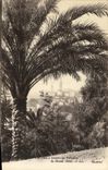 POSTAL de la VENDIMIA grasa vista a traves de la palmera del hotel grande