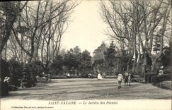 VINTAGE POSTCARD St Nazaire the botanical garden