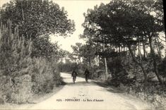 VINTAGE POSTCARD Pornichet Wood D love