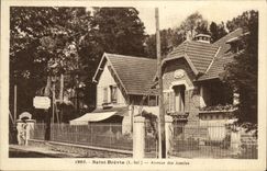 Avenida santa de Brevin de la POSTAL de la VENDIMIA de los acacias
