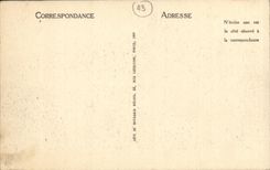 VINTAGE POSTCARD Puy the Tower and the Street Pannessac