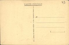 VINTAGE POSTCARD Basilica Cathedral of Notre Dame of Puy the black virgin