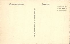 VINTAGE POSTCARD Puy the Cathedral the rocks Crow and Aiguilhe