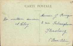 CPA Angers Vue Generale du jardin des plantes