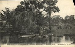 CPA Angers Le Jardin des Plantes Ile des cygnes