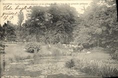 VINTAGE POSTCARD Nantes its Part and Botanical garden with the bottom of the large lawn