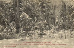 VINTAGE POSTCARD Militaria the War in Lorraine Battles of the collar of Chipote