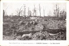 VINTAGE POSTCARD Militaria Lihons see It star