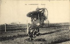 VINTAGE POSTCARD Vassincourt Militaria Tombs