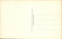 VINTAGE POSTCARD Militaria Festivals Of the Victoire flags of the 1st body D armed