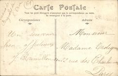 CPA Bagnoles De L Orne Parc de l Etablissement Thermal Une allee de pins