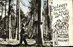 La POSTAL de la VENDIMIA amarra Resinier o el oro del taladro D del trabajo