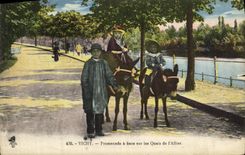 VINTAGE POSTCARD Vichy Promenade has asses on the Quays of L Allier