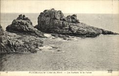 CPA Ploumanch Les Rochers de La Pointe