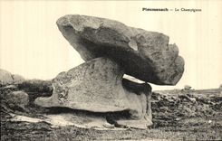 CPA Ploumanach Le Champignon