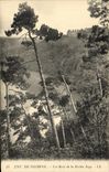 CPA Environs de Paimpol Les Bois de la Roche Jagu