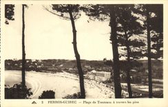 CPA Perros Guirec Plage de Trestraou a travers les pins