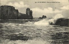 VINTAGE POSTCARD Island of Brehat Etaude de Rochers with the Peacock