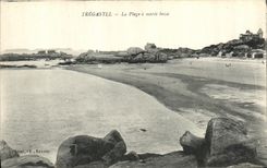 CPA Tregastel La Plage a Maree Basse