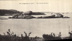 CPA Tregastel Ses Curieux Rochers