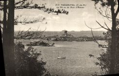 CPA Tregastel Le De Vu Du Bois d Amour