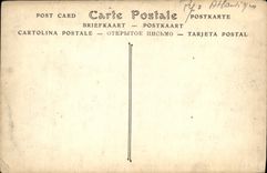 VINTAGE POSTCARD Pau the Beaumont Park Swans