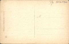 VINTAGE POSTCARD Pau Bridges On Gave