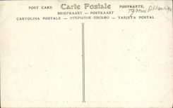 VINTAGE POSTCARD Pau the Castle and Hotels Seen from of Jurancon